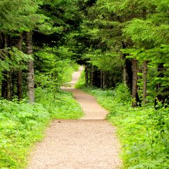 Beothuk Interpretation Centre trail