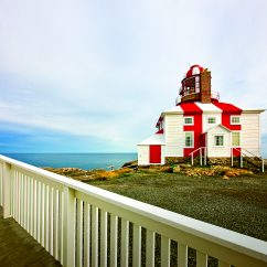 Photo credit: Alicia O'Leary