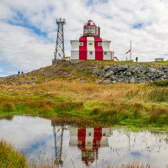 Photo credit: Alicia O'Leary