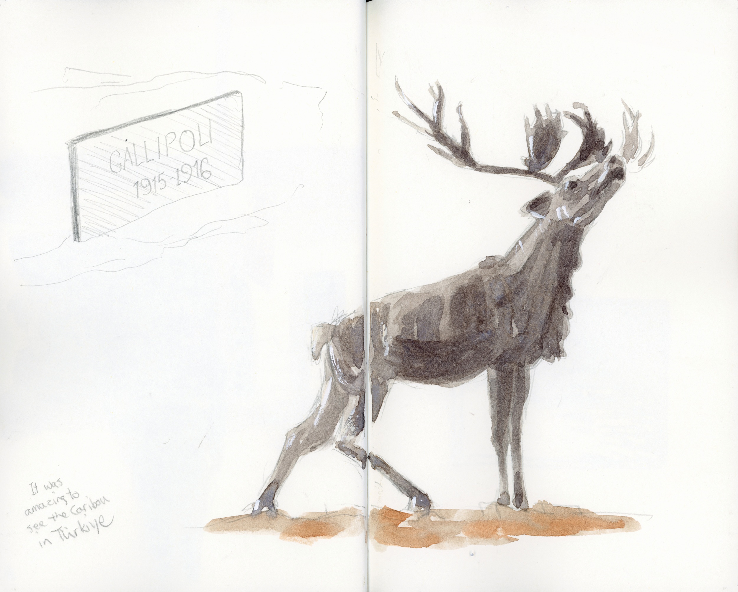 Caroline Clarke Caribou image